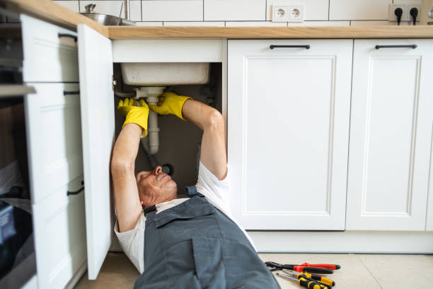 Best Clogged Drain Plumber  in Lenwood, CA